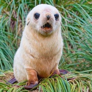 Meet your Posher, Carly